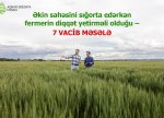 Sığorta müraciətində fermerlər nələri nəzərə almalıdır? - 7 VACİB MƏSƏLƏ