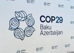 COP29 Azərbaycanda: Mərkəzi Asiya üçün yeni iqlim həlləri