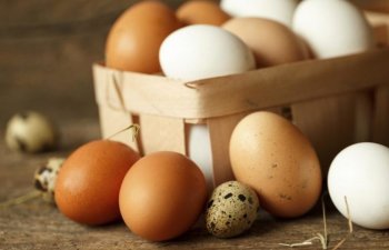 Ölkədə yumurta istehsalı 9% artıb