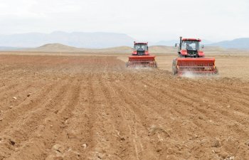 Naxçıvanda yaz-tarla işlərinə hazırlıq davam etdirilir