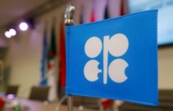 OPEC+ Texniki komitəsinin iclası təxirə salındı