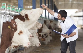 Türkiyənin aqronom və baytar həkimləri Azərbaycanda fəaliyyət göstərəcək