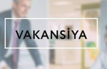 Synergy Partnership işçi axtarır – VAKANSİYA