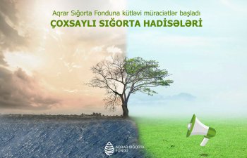 Aqrar Sığorta Fonduna kütləvi müraciətlər başladı – ÇOXSAYLI SIĞORTA HADİSƏLƏRİ