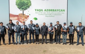 TuranBank “Yaşıl Marafon 2022” çərçivəsində ağacəkmə aksiyasına qoşuldu