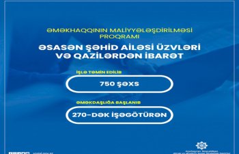 750 şəxs yeni proqram üzrə işlə təmin edilib