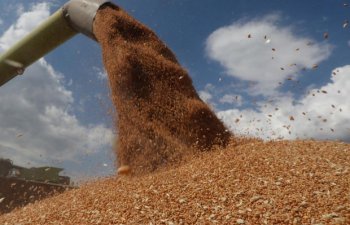 Rusiya ordusu Ukraynanın ikinci ən böyük taxıl terminalını dağıdıb