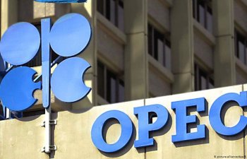 OPEC-in iclası ləğv edildi