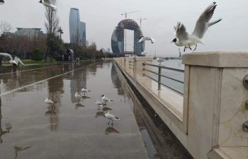 Yağış, şaxta, buz - İstirahət gününün HAVA PROQNOZU