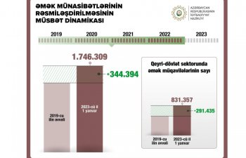 Əmək müqavilələrinin sayı açıqlanıb