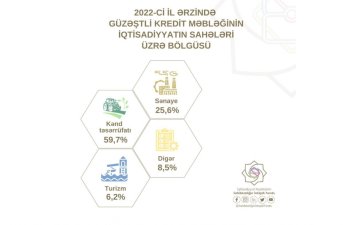 Ötən il sahibkarların 2726 layihəsinə 146 milyon manat güzəştli kredit ayrılıb