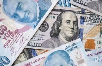 Dollar lirə qarşısında bahalaşdı