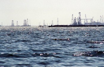 BP Xəzərin Azərbaycan sektorunda qaz ehtiyatlarının aşkar olunmasını gözləyir