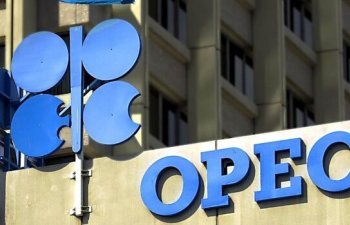 OPEC 4 ölkə ilə danışıqlar aparır