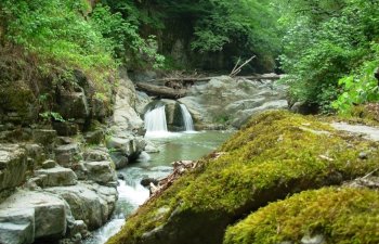 Azərbaycanın turizm kurort məkanlarından biri - Lerik