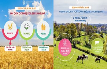 Aqrar sığorta hadisələri üzrə 1 milyon 175 min manat ödəniş həyata keçirilib