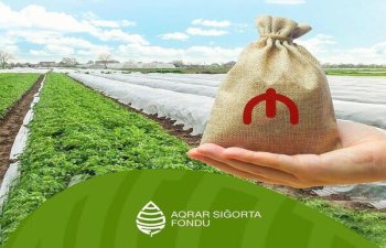 Aqrar Sığorta Fondu zərər ödənişlərinə başladı – RƏSMİ AÇIQLAMA 