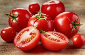 Pomidor ixracı artıb