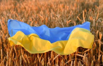 Ukrayna 4 milyon tondan çox taxıl göndərib