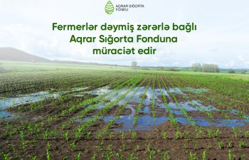 Aqrar Sığorta Fondu: Çağrı Mərkəzinə 7 rayon üzrə 20 müraciət daxil olub