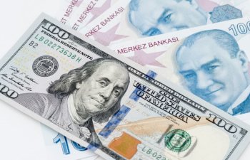 Türkiyə lirəsi dollar qarşısında rekord həddə ucuzlaşıb