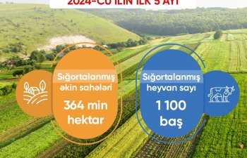 Azərbaycanda fermerlərə sığorta ödənişləri 2 dəfədən çox artıb, sığortalanmış əkinlər 364 min hektara çatıb