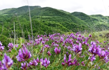 Şuşa-Laçın turu