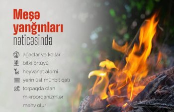 İsti günlərdə yanğına həssas bölgələr - ETSN