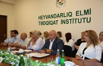 İqlim dəyişikliyi və dayanıqlı heyvandarlıq: Beynəlxalq konfrans başladı