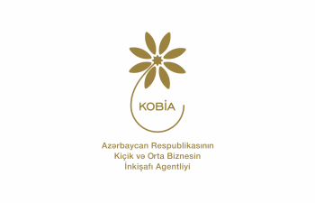 Azərbaycanda mikro sahibkarlara verilən kreditlər 33 % artıb - KOBİA