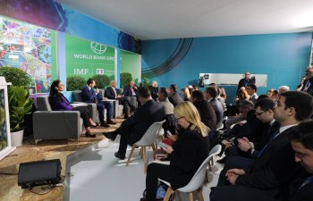 COP29: Enerji və su sistemlərinin transformasiyası müzakirə olunub