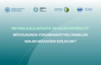 COP29: Aviasiya sahəsində "Net Zero" hədəfi