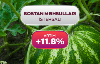 Azərbaycanda bostan məhsullarının istehsalı 11% artıb