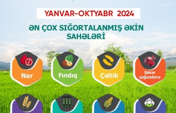 Meyvə bağları və əkin sahələri üzrə - AQRAR SIĞORTA ÖDƏNİŞLƏRİ 4 DƏFƏ ARTIB