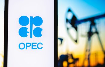 OPEC 2024-2025-ci illər üçün qlobal neft tələbatı proqnozunu azaldıb